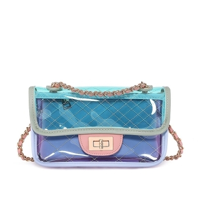 Clear Acrylic Box Mini Handbag Women Transparent Thick Chain Shoulder  Crossbody Bags Travel Jelly Bag Women Clear Lipstick Purse